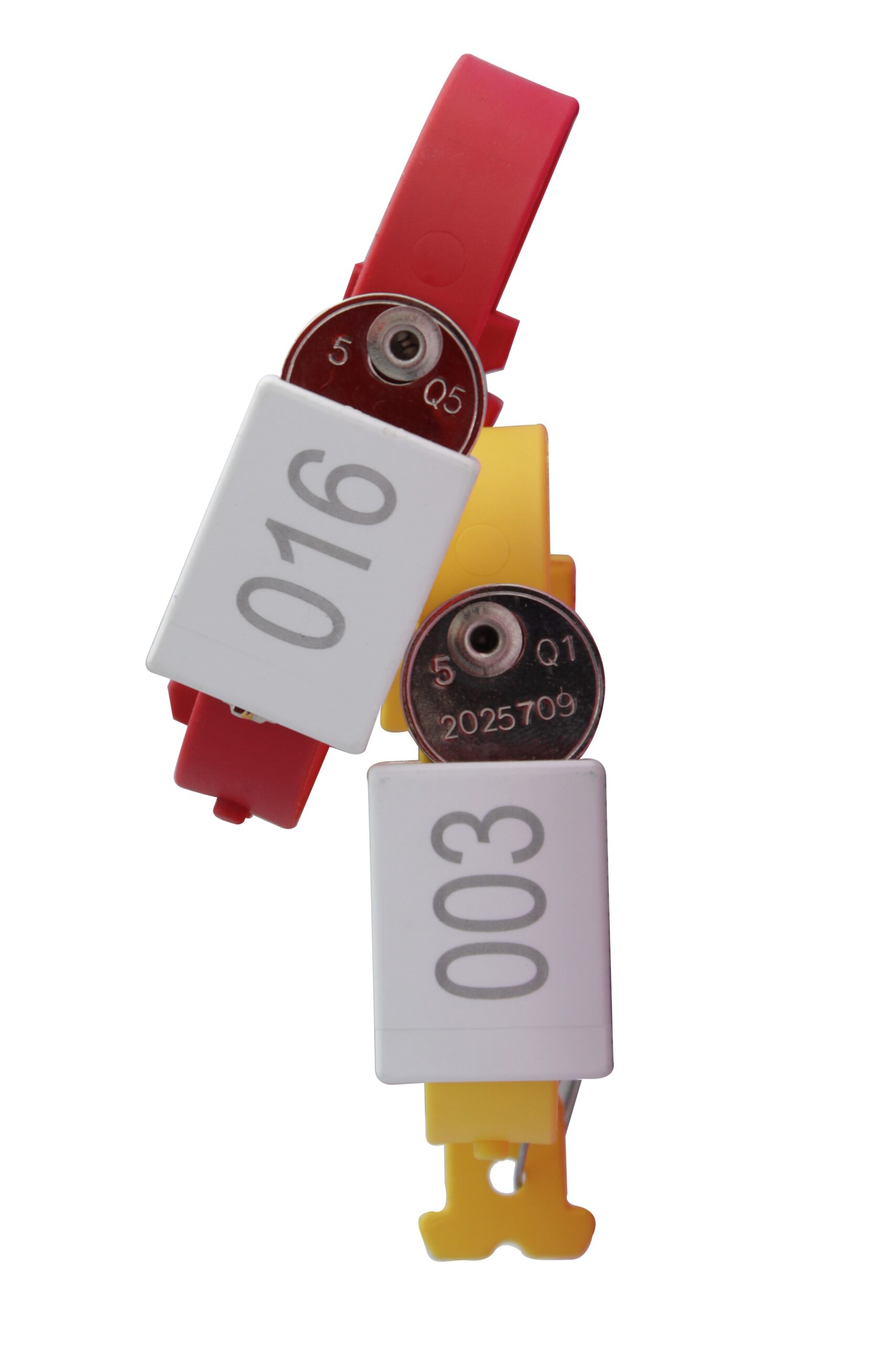 4947 Bracelet classique Ojmar (1)